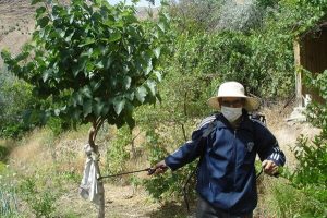 بهترین انتخاب برای کشاورزان